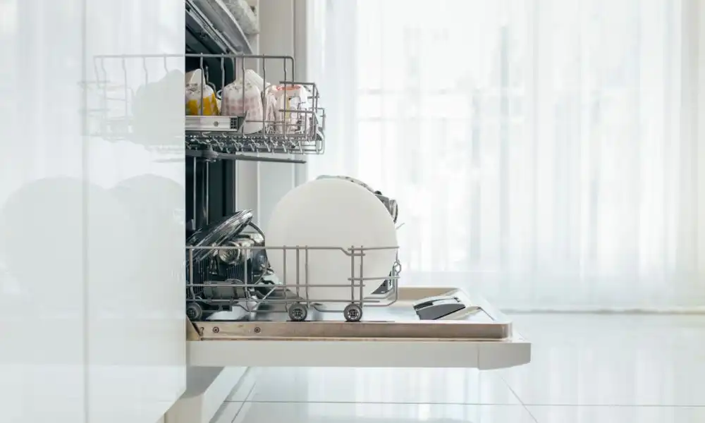 Difference Between Regular and Portable Dishwasher