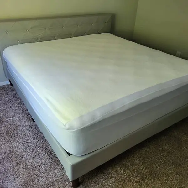 ZINUS Shalini Queen Bed Upholstered is Delightfully Easy