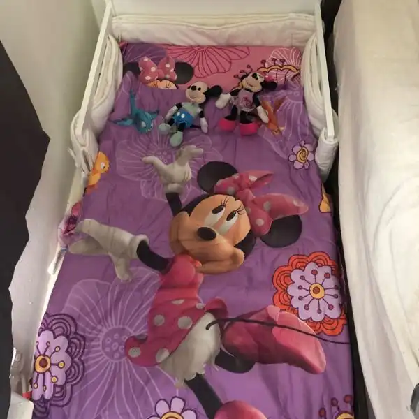 Disney Fluttery Friends Toddler Bedding Set have 100 Percent Polyester Microfiber