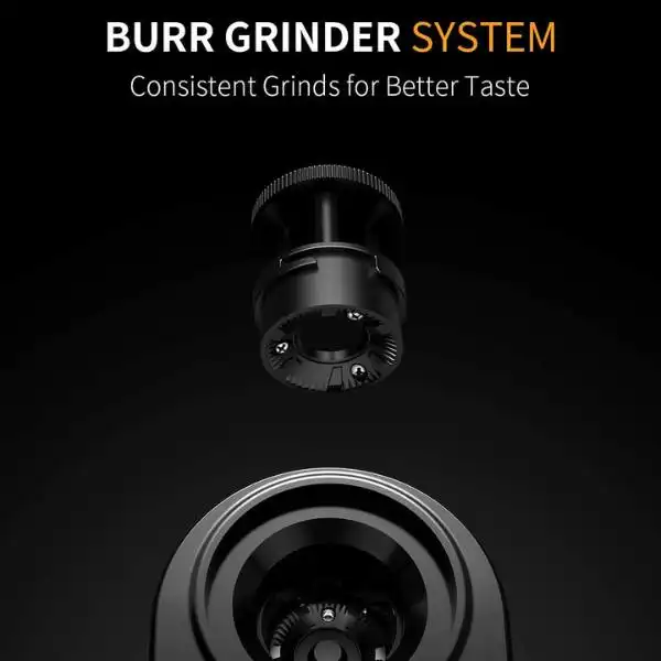 Burr Grinder System