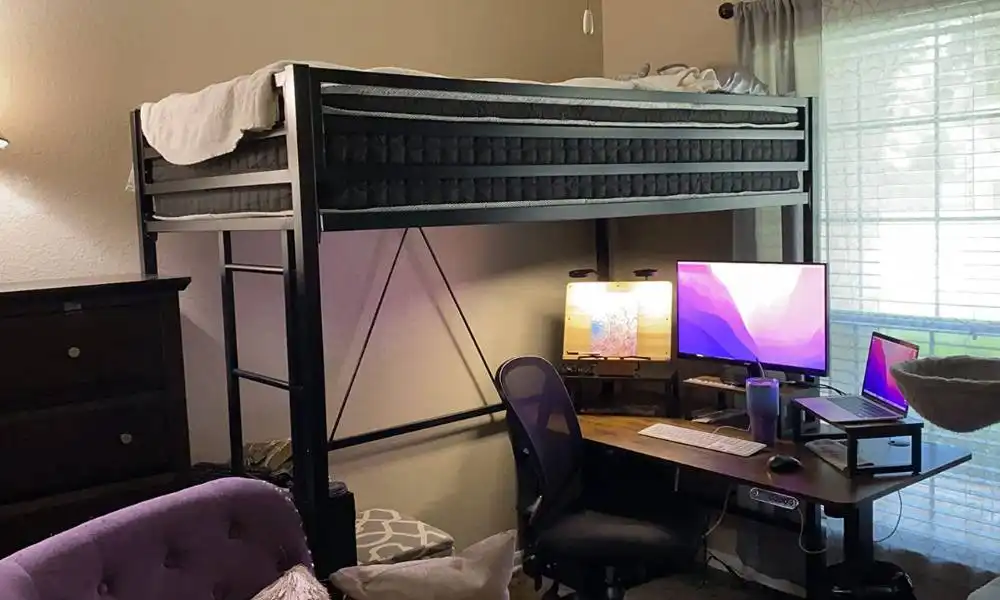 IMUsee Loft Bed Frame For Adults