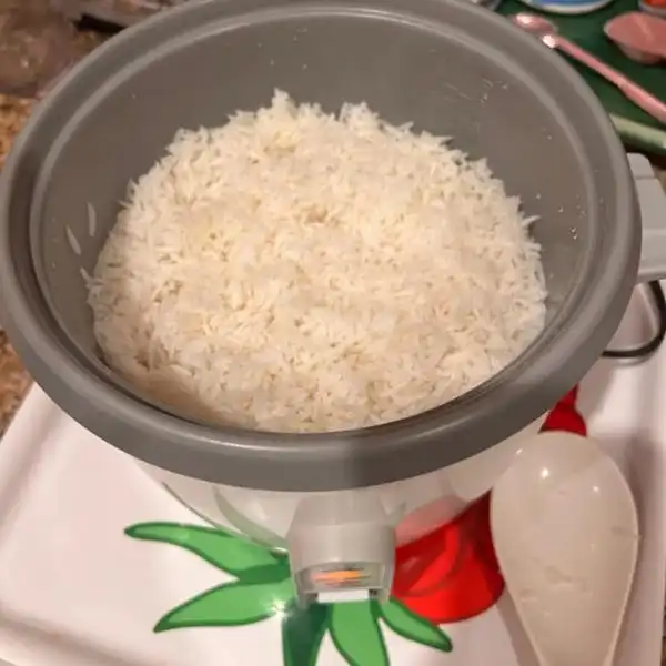 Dos and Don'ts of Japanese Rice Cooker is Soak the Rice