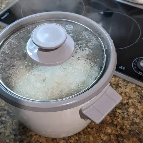 Soak the Rice is a Techniques with a Japanese Rice Cooker