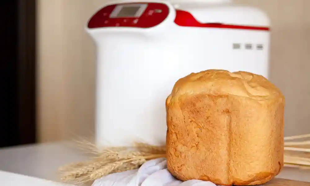 Bread Maker Buying Guideline