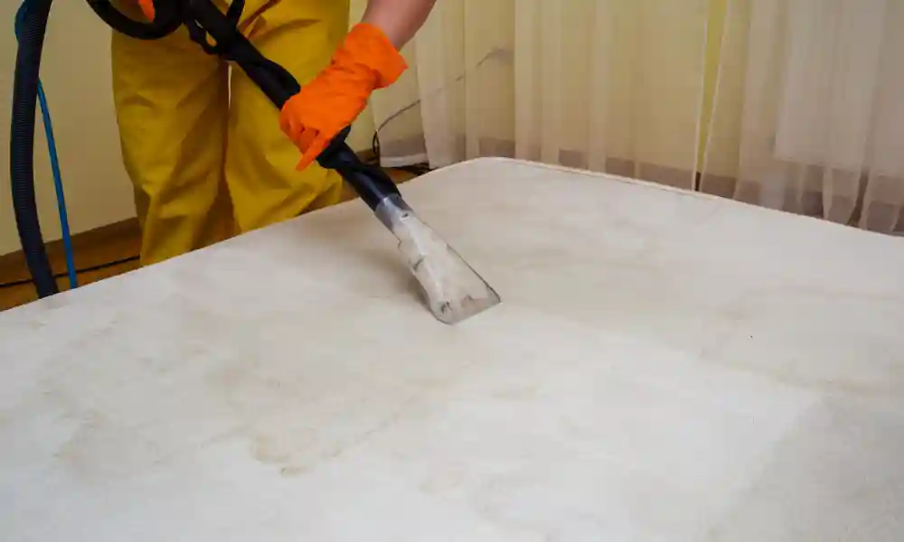 Vacuuming - How to Clean Mattress